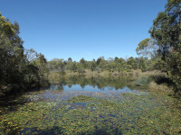 Berrinba Wetlands